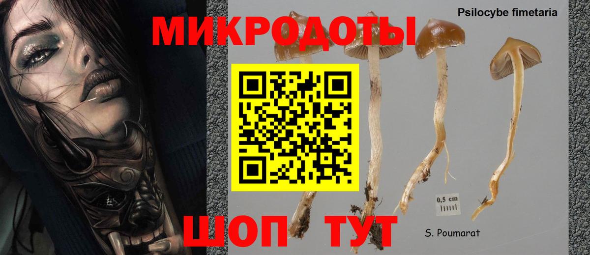 Нурлат  Галлюциногенные грибы Magic Shrooms  Вход с VPN 