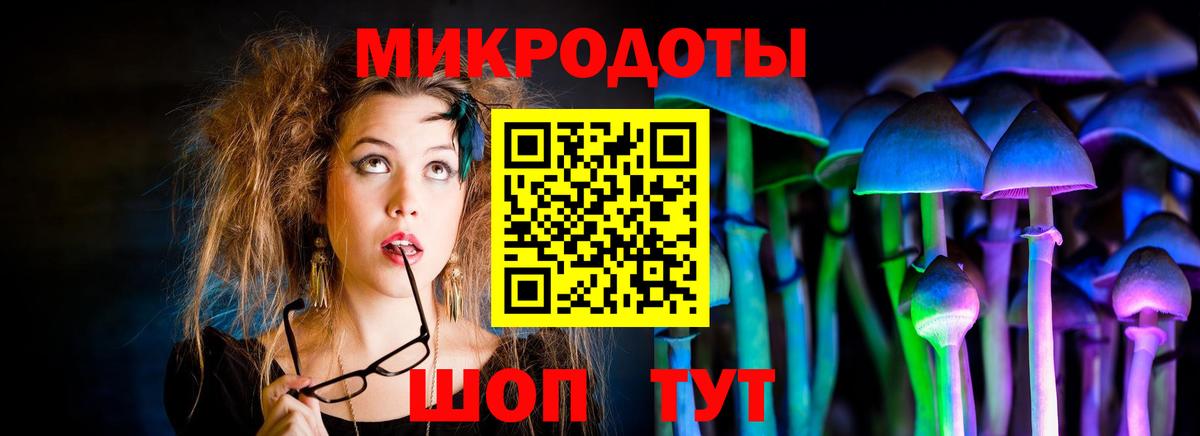Галлюциногенные грибы Psilocybe Нурлат